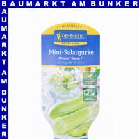 Veredelte Mini Schlangengurken Milene Weiß 12 cm Topf
