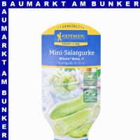 Veredelte Mini Schlangengurken Milene Weiß 12 cm Topf