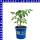 Veredelte Fleischtomate Fido Midi Rot 12 cm Topf