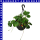 Erdbeeren Ampel 25 cm Topf