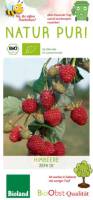 Himbeere ZEFA III 2 L 11 cm Topf