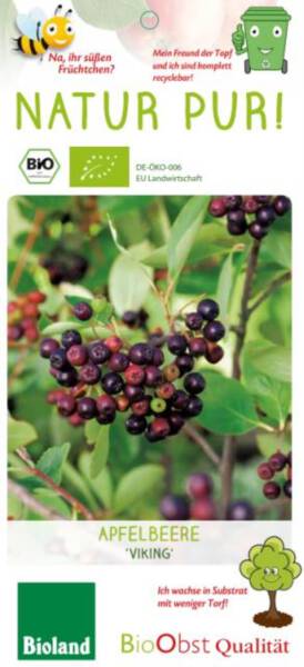 Aronia Busch Viking - Bio Apfelbeere 2 L Topf