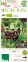 Aronia Busch Viking - Bio Apfelbeere 2 L Topf