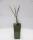Aronia Busch Viking - Bio Apfelbeere 2 L Topf