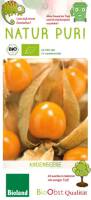 Andenbeere - Bio Physalis 1 L Topf