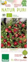 Cranberry Busch Stevens - Bio Moosbeeren 2 L Topf