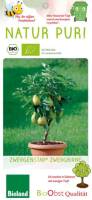 Bio Zwergbirnenbaum Zwergenstar® 5L