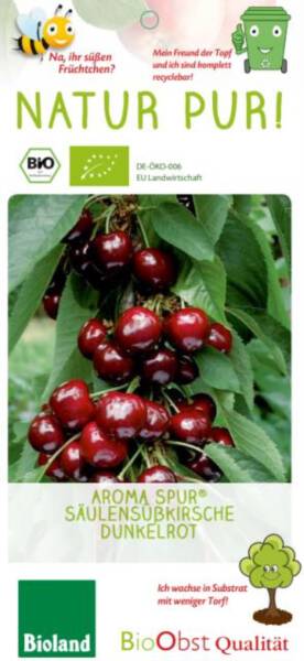 Bio Säulen Süßkirschbaum dunkelrot Aroma spur