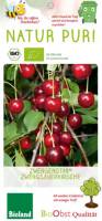 Bio Zwergsauerkirschenbaum Zwergenstar® 5L