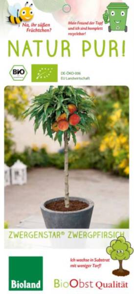 Bio Zwergpfirsichbaum Zwergenstar® 5L