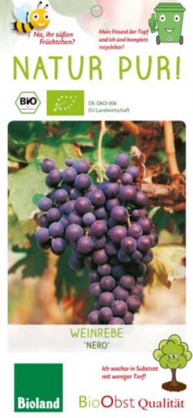 Bio Weinrebe Nero 3 L