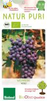 Bio Weinrebe Nero 3 L