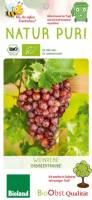 Bio Weinrebe Erdbeertraube 3 L
