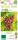 Bio Weinrebe Erdbeertraube 3 L