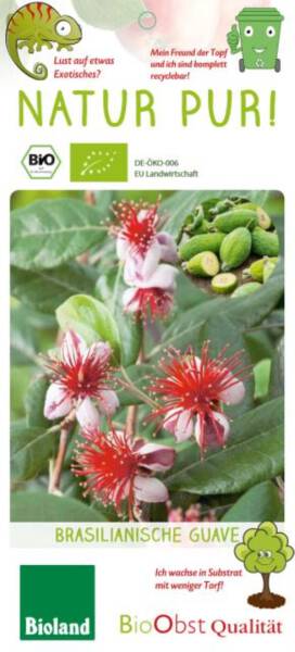 Bio Brasilianische Guave 3 L