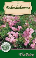 Bodendeckerrosen 1L
