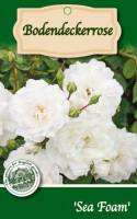 Bodendeckerrosen 1L