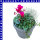 Herbst Trio 12 cm Topf