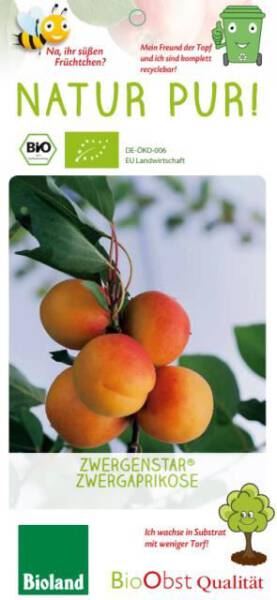 Bio Zwergaprikosenbaum Zwergenstar® 5L