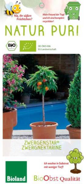 Bio Zwergnektarinebaum Zwergenstar® 5L