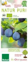Bio Zwergpflaumenbaum Zwergenstar® 5L