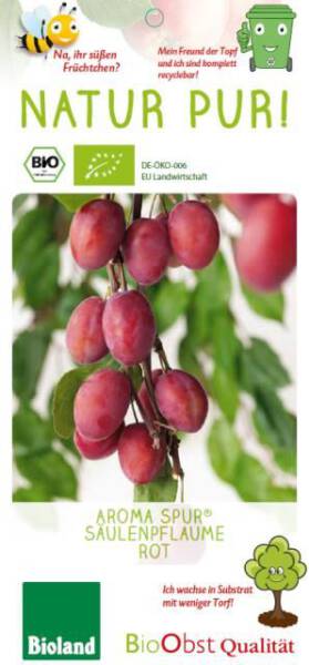 Bio Säulen Pflaumenbaum rot Aroma spur