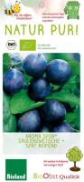 Bio Säulen Pflaumenbaum Spät Aroma spur