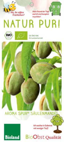 Bio Säulen Mandelbaum Aroma spur