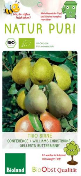Bio Birnenbaum am Spalier Trio 7,5L