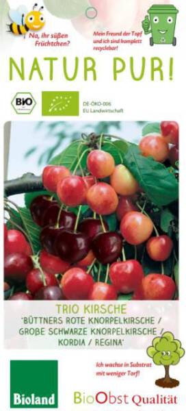 Bio Kirschbaum am Spalier Trio 7,5L