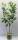 Bio Kirschbaum am Spalier Trio 7,5L