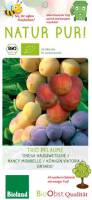 Bio Pflaumenbaum am Spalier Trio 7,5L