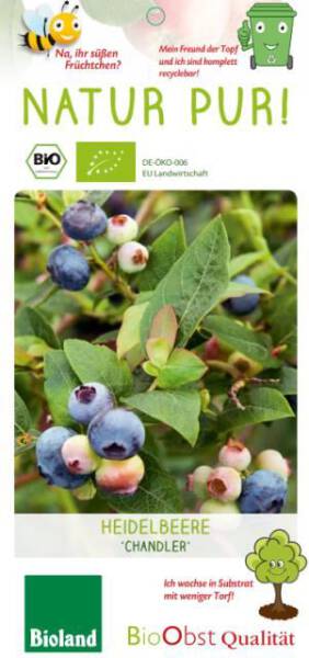 Bio Heidelbeere Vaccinium Chandler 3 L