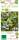 Bio Heidelbeere Vaccinium Chandler 3 L