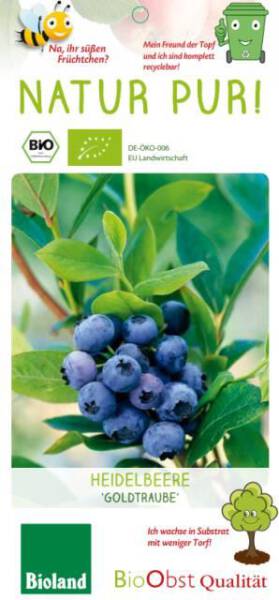Bio Heidelbeere Vaccinium Goldtraube 3 L
