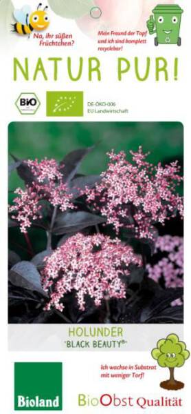 Bio Holunder Black Beauty® 3 L