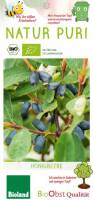 Bio Honigbeere Busch Aurora 3 L