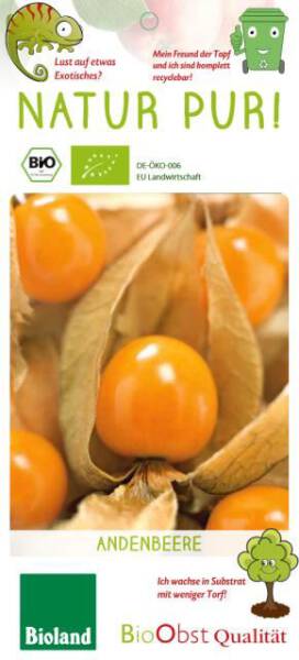 Bio Andenbeere - Bio Physalis Peters Beste 3 L