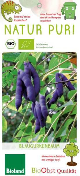 Bio Blaugurke Busch 3 L