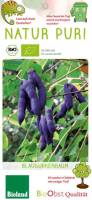 Bio Blaugurke Busch 3 L