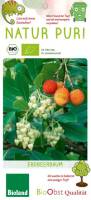 Bio Erdbeerbaum Busch 3 L