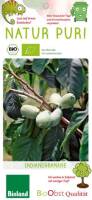 Bio Indianerbanane Busch 3 L