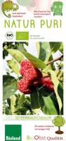 Bio Seidenraupenbaum Busch 3 L