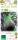 Bio Feige Stamm Brown Turkey 7,5L