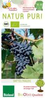 Bio Weinrebe Datteltraube 3 L