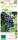 Bio Weinrebe Datteltraube 3 L