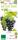 Bio Weinrebe Muscat Bleu 3 L