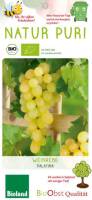 Bio Weinrebe Palatina 3 L
