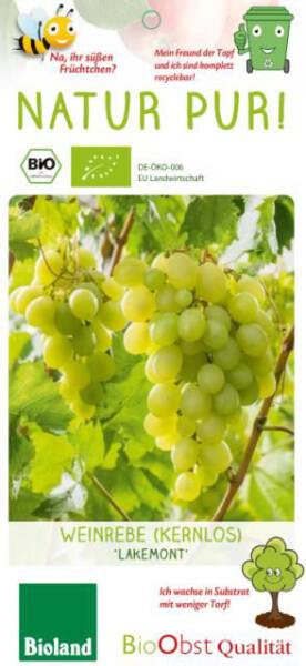 Bio Weinrebe Lakemont 3 L