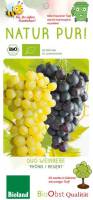 Bio Weinreben Stamm Nero 7,5 L